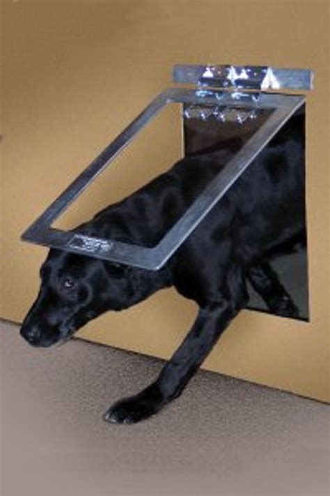 metal dog house door|steel exterior door with doggie.